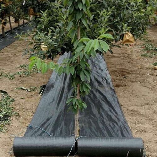 防草布