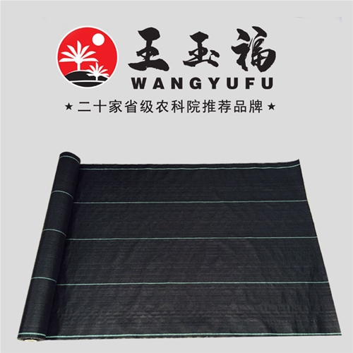 绿色标志线防草布