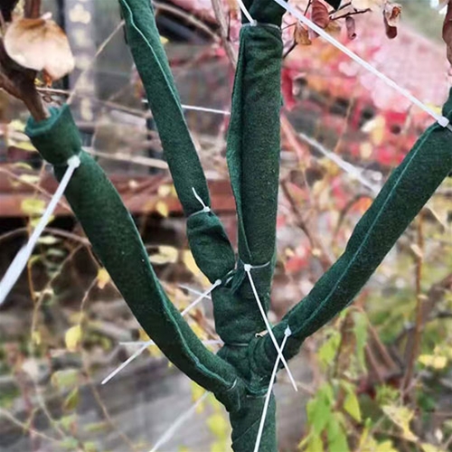 裹树布