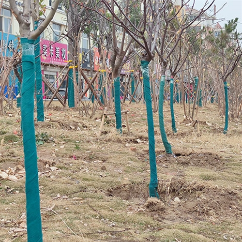 裹树布