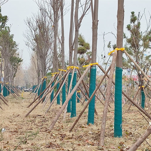 裹树布