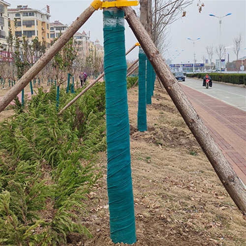 裹树布